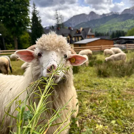 Hacienda Blizniaczy Z Widokiem Na Tatry Chalé