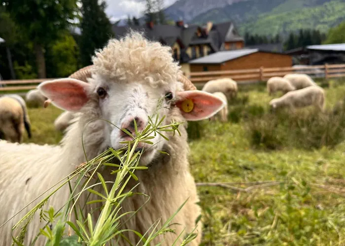 Hacienda Blizniaczy Z Widokiem Na Tatry شاليه